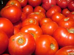 Lombardia ed Emilia-Romagna nel 2013 hanno prodotto circa 2 milioni di tonnellate di pomodoro industriale